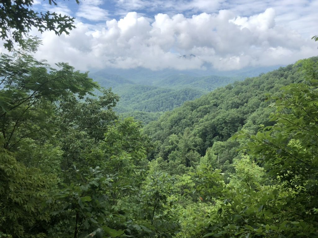 The Smoky Mountains from a hiking trail in East Tennessee